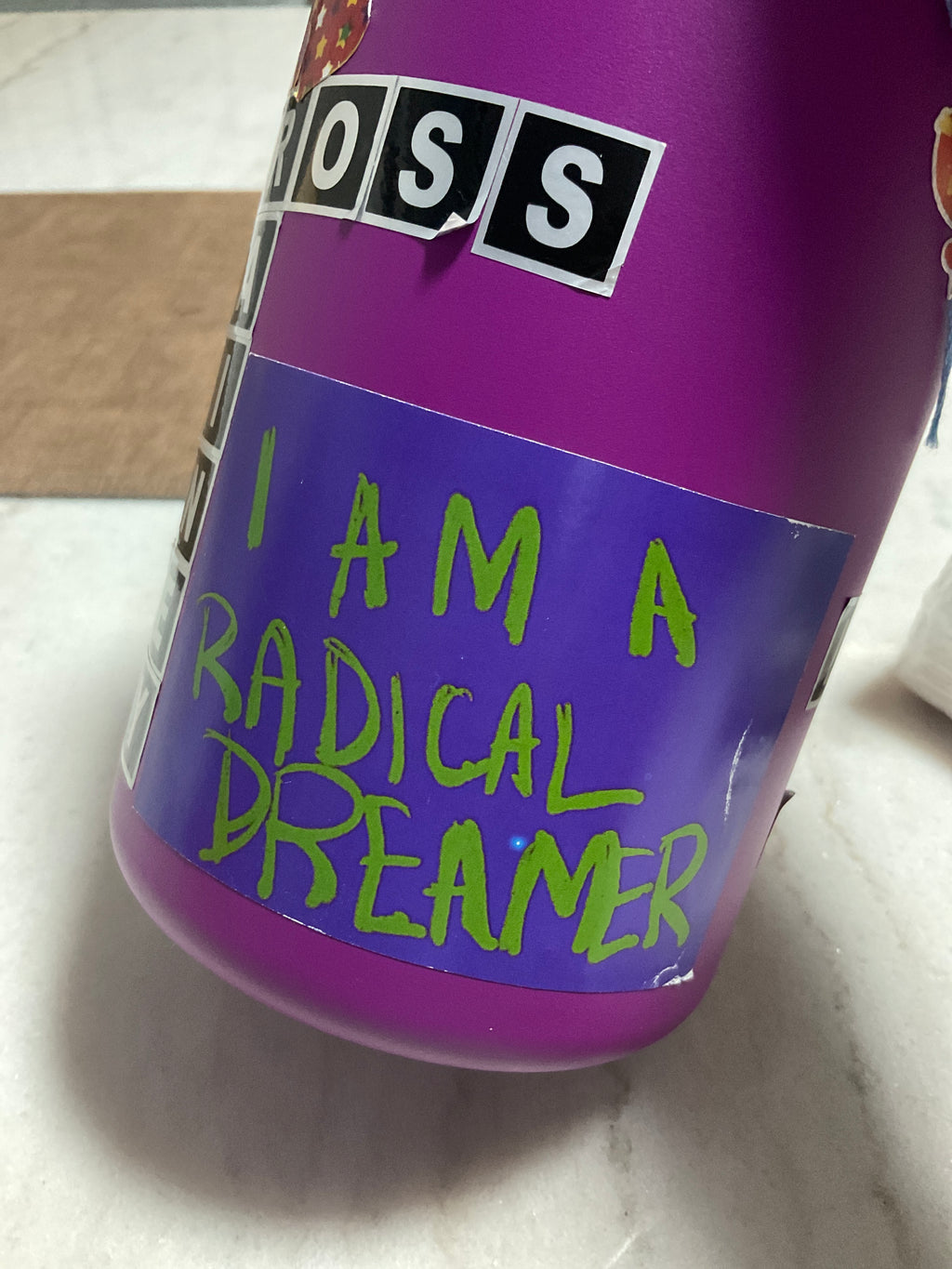 I am a Radical Dreamer- Stickers